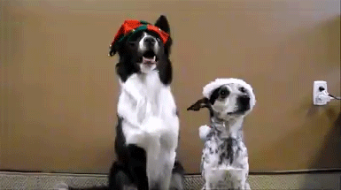 Ты не туда смотришь! Позируем