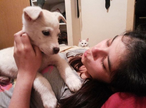 Да что ты вообще знаешь о ревности.