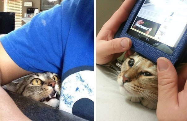 Когда девушке недостаточно внимания