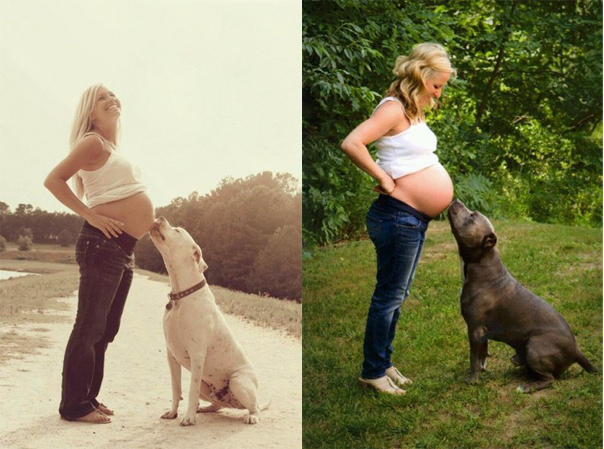 Собачки очень ждут рождения малышей