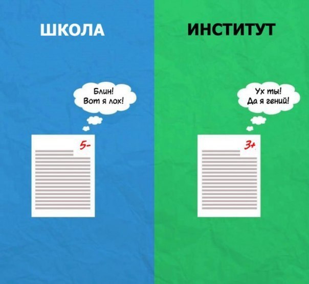 Школа vs институт