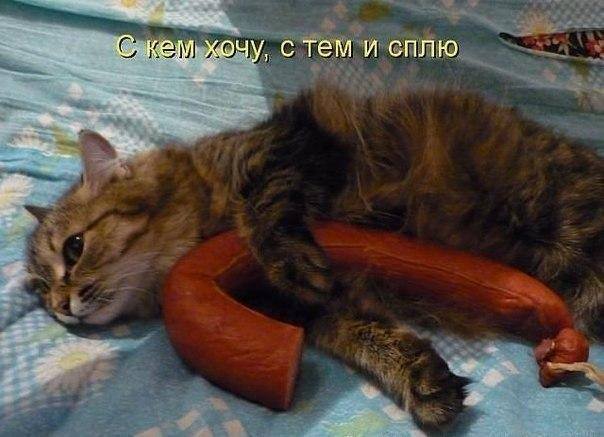 С кем хочу, с тем и сплю