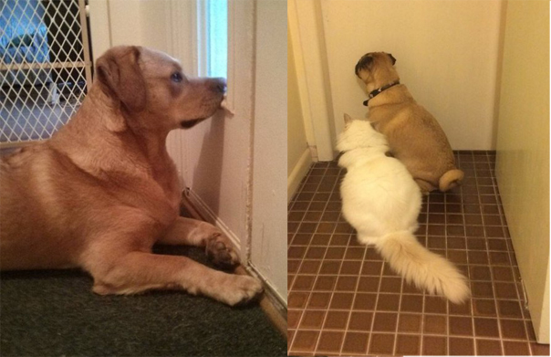 Главное, чтобы дома кто-то ждал