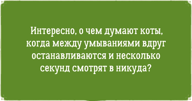 ТОП 10 приколов про котов