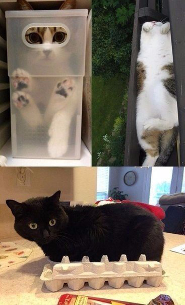 Пожалуй, здесь мне будет удобно