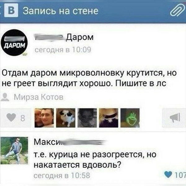 12 лучших объявлений "Отдам даром"