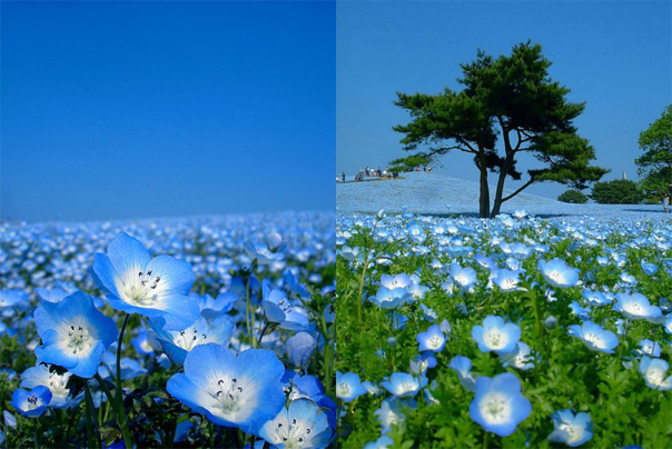 Небо упало на землю