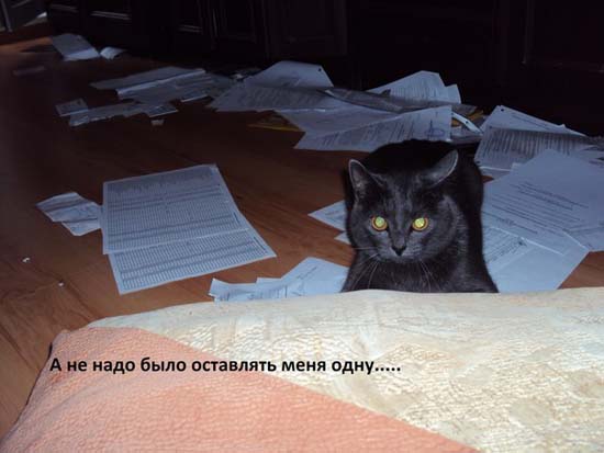 А не надо было оставлять меня одну..