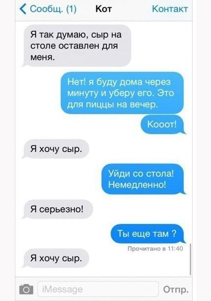 Забавные переписки с котами