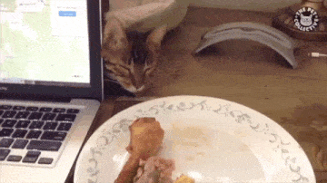 Да сплю я, сплю!