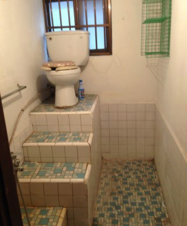 ТОП 15 туалетов, которые "стоит" посетить