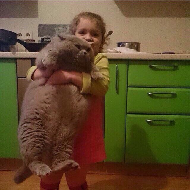 Когда ты жирненький, но все равно милый
