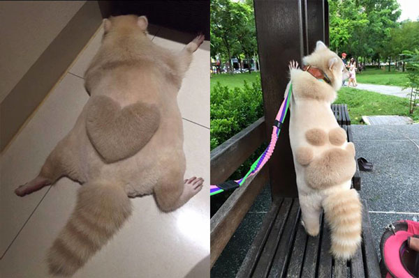 Мой хозяин - идиот. Енот Уни