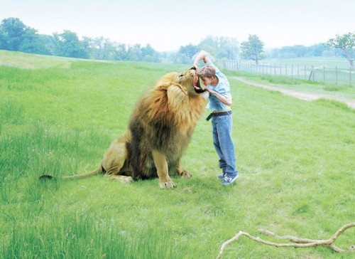 Ку-ку, мой мальчик!