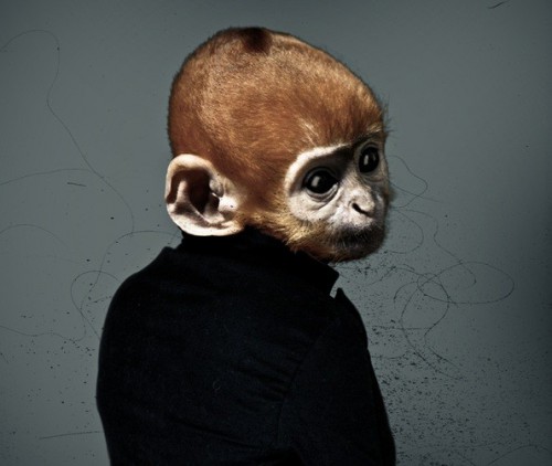 Современное фотоискусство