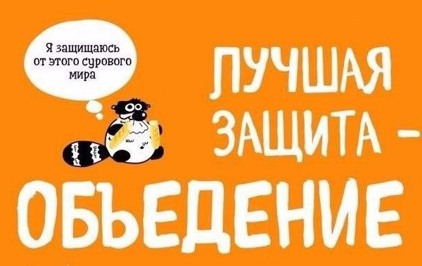 Мудрые цитаты от енота