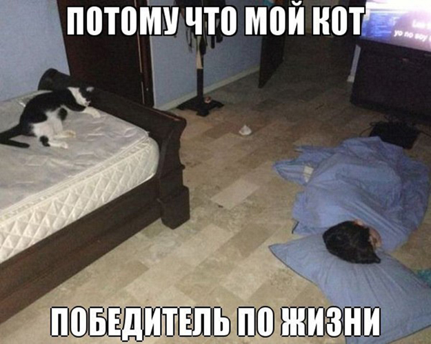 Победители по жизни