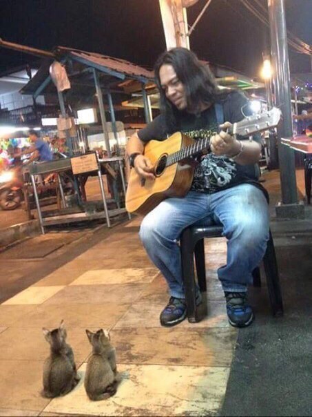 Когда есть талант игры на гитаре