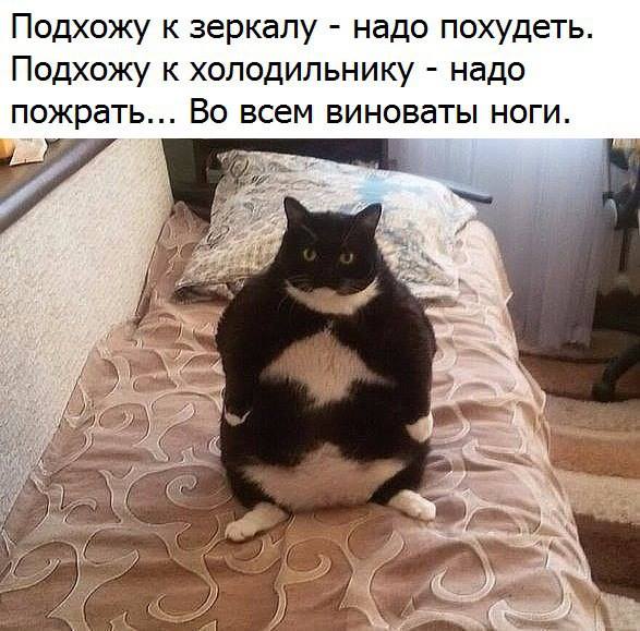 Во всем виноваты ноги