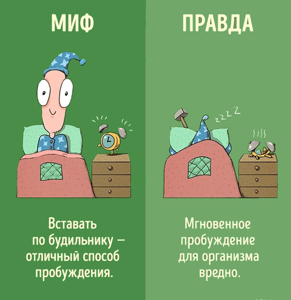 Правда или миф