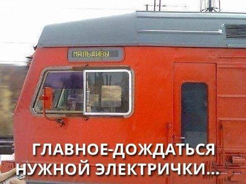 Куда приводят мечты