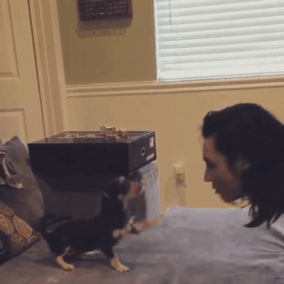 Радость встречи