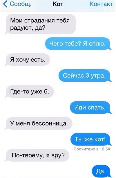 Если бы коты писали смс...