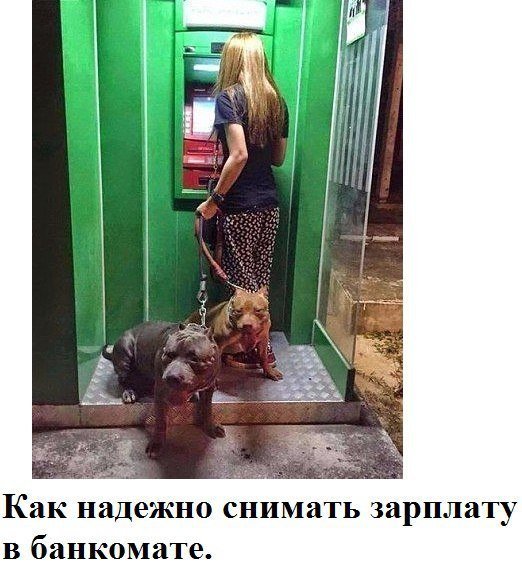 Лучшие телохранители