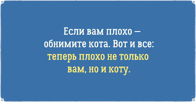 ТОП 10 приколов про котов