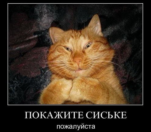 Прикольные демотиваторы