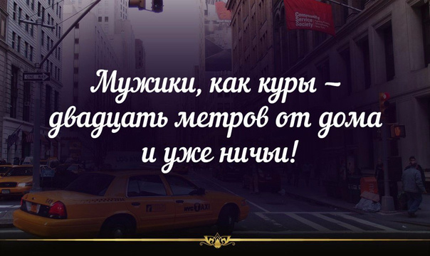 Прикольные картинки про женщин