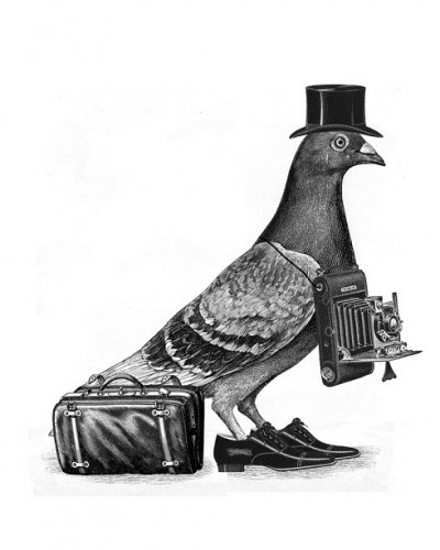 Крутезные картинки