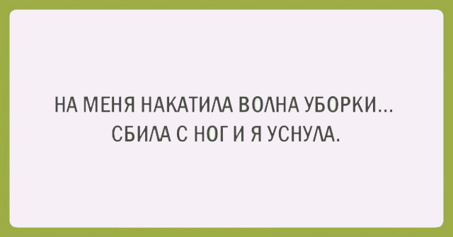 Подборка прикольных афоризмов про жизнь и уборку