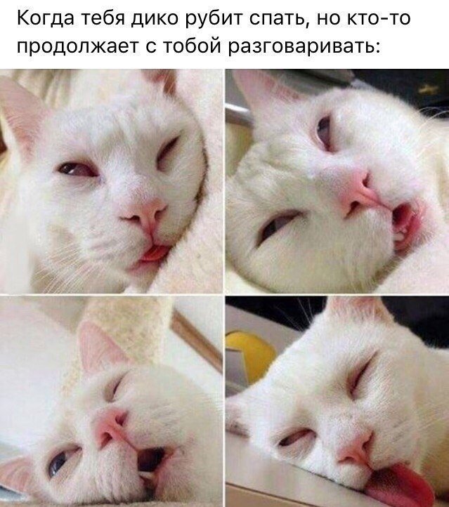 Когда ты спишь, но должен слушать