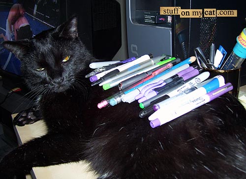 Приколы над котами