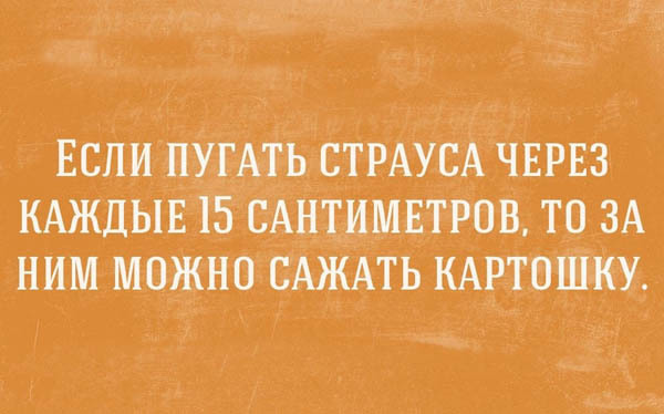 Милые картинки с текстом