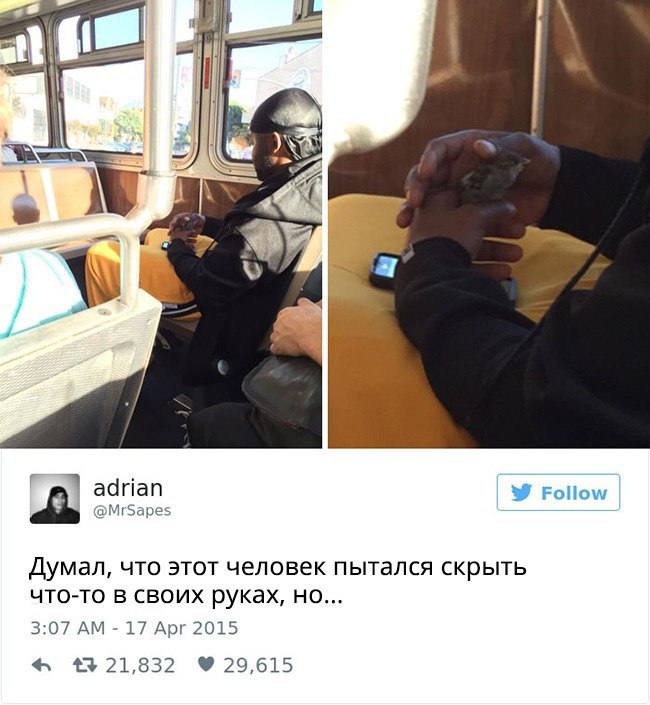 В мире гораздо больше добра, чем кажется