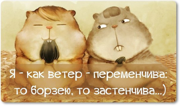 Прикольные картинки с текстом