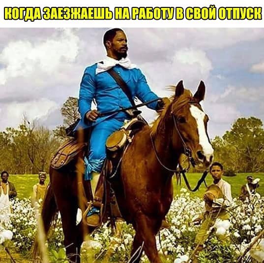Когда все пашут, а ты в отпуске