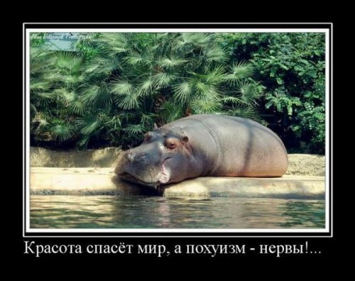 Лозунг сегодняшнего дня!