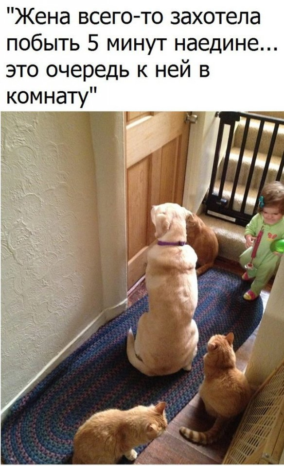 Пока мама отдыхает