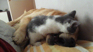 Маленькая егоза