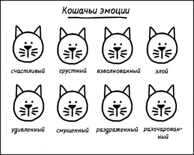 Картинки обо всём