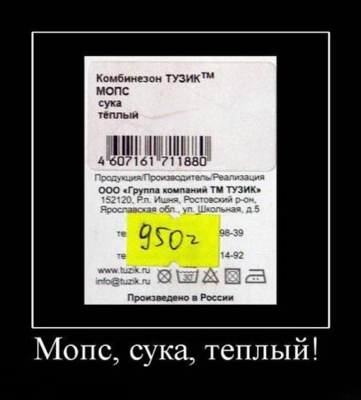 Мопс сука теплый