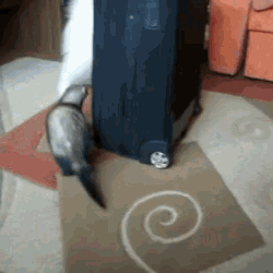 Хороводы у столба