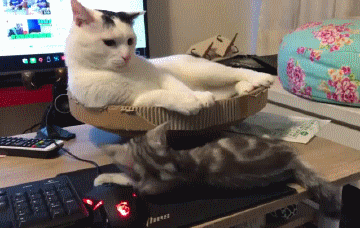 Компьютерные игры