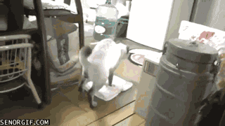 Помощник в доме