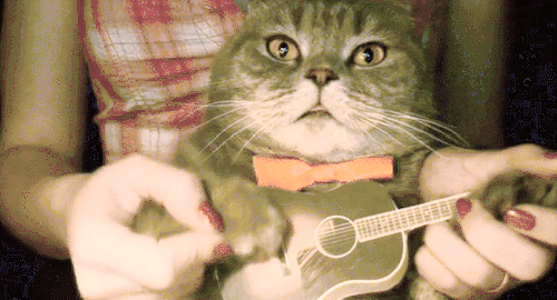 Юный гитарист