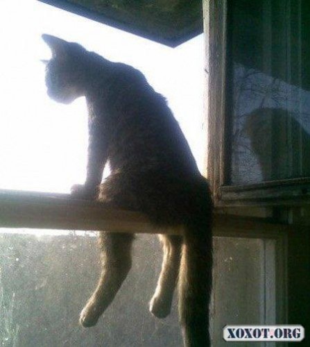 Котеги