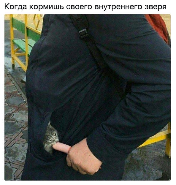 Голодный внутренний зверь
